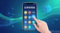 比特派Bitpie钱包用户到底想要什么？需求分析与调整方案