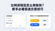 比特派钱包怎么转账快？新手必看极速交易技巧