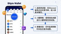 Bitpie钱包实操指南:新手快速上手抓机会