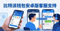 比特派钱包安卓版客服支持：3步快速解决使用问题