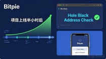 比特派最新版下载后怎么玩高风险投资