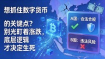 想抓住数字货币的关键点?别光盯着涨跌,底层逻辑才决定生死