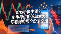 dns币多少钱？小币种价格波动太大，你看到的那个价未必准
